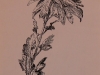 Chrysanthemum (unframed) - SOLD